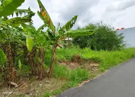 Dijual Tanah Di Gang Menco UMS solo