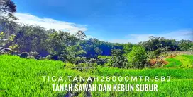 Dijual tanah luas subur pinggir jalan dekat kota strategis