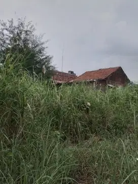 Tanah Petok D di Perumahan Lestari Indah Boboh Menganti