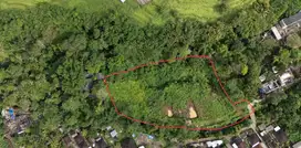 Stunning 61 Leasehold Land in Kaba Kaba – Ready for Development