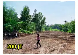 200 Juta Tanah Dijual Di Jogja Utara, Jl. Kaliurang Sleman