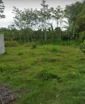 TANAH MURAH SAPTORENGGO PAKIS MALANG DIJUAL MURAH BISA NEGO