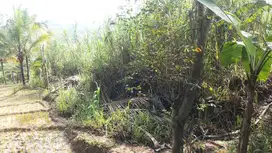 Tanah pinggir Jalan raya Jonggol Cianjur