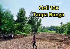 Tanah Dijual Bisa Di Cicil Tanpa Bunga Di Jogja