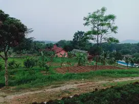 Tanah Di Parung Bogor Harga Menarik Cocok Investasi