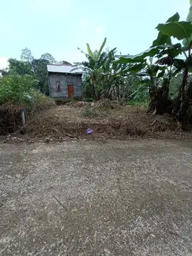 Tanah murah jalan cor jawisari