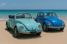 VW kodok 1302 Cabriolet cabrio 1969 Volkswagen Beetle kodok