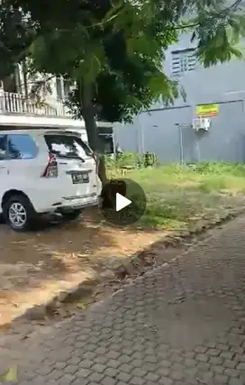 Dijual tanah di Bintaro sekolah penabur