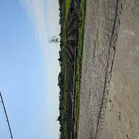 Tanah pinggir jalan poros desa balong panggang