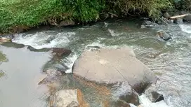Tanah Darat & Sawah 25000 m Nempel Kali, Bojong, PWK.