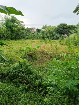 Dijual Tanah Siap Bangun di Cipayung Jakarta Timur
