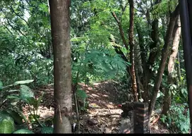 Tanah lokasi strategis di Munjul, Jakarta Timur (Harga per meter)