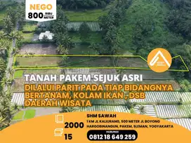 Jual Tanah Pakem Mengalir Parit Asri Sejuk Jalan Papasan