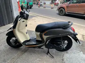 Honda Scoopy 2024