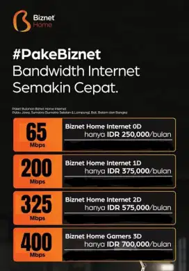 BIZNET HOME INTERNET