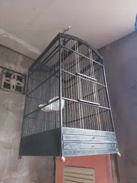 Kandang replika no 2 layak pakai