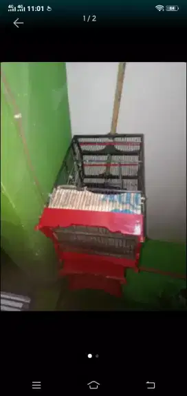 Sangkar uk 30*30 ruji rapat