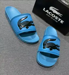 Ready Sandal Boss, CK, Lacoste
