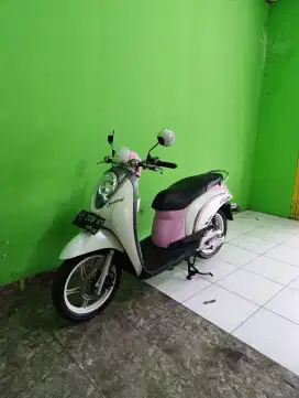 Honda Scoopy 2011