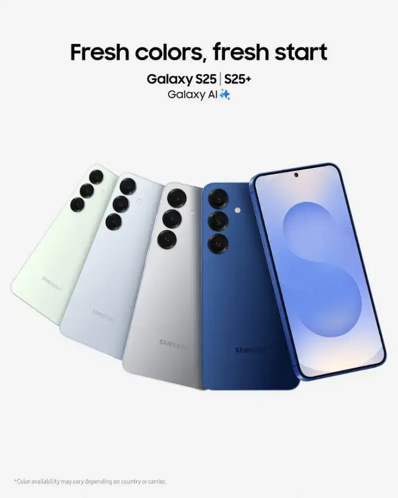 Samsung Galaxy S25