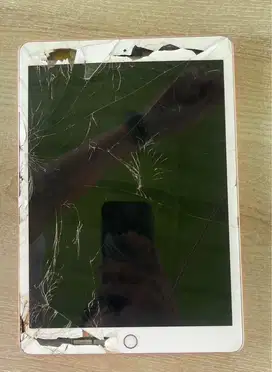 Apple ipad seri 7