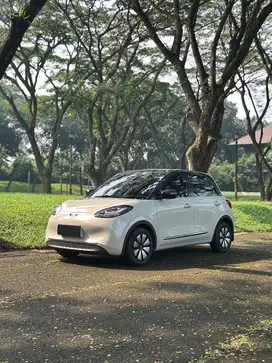 [CASH] Wuling Binguo EV 2024 333KM AC