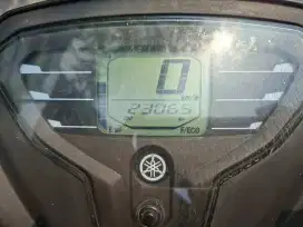 Yamaha FREEGO KEYLESS 2019