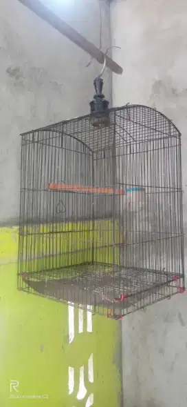 Kandang burung bagus