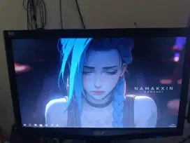 monitor 16 inch acer x163w