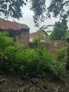Jual Rumah Hitung Tanah di Gedeg Mojokerto