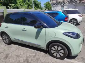 BINGUO EV Premium Range 410 KM