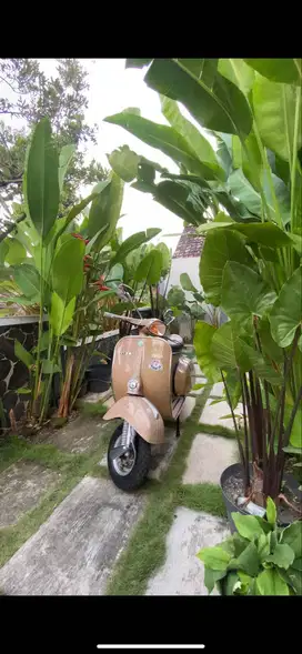 Dijual Vespa Super Tahun 1977