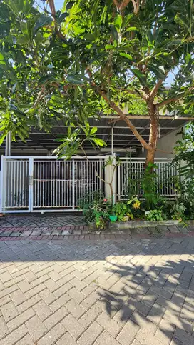 Dijual Rumah Cantik Siap Huni Pantai Mentari