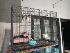 Kandang Kucing XL