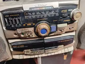 Radio simba minus