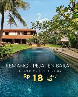 Kemang Pejaten Barat Tropical Resort House Halaman Luas Jalan Lebar