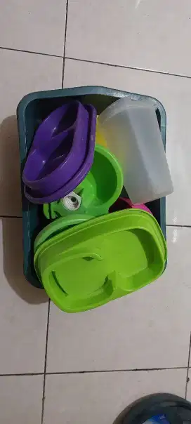 Jual borongan peralatan kucing