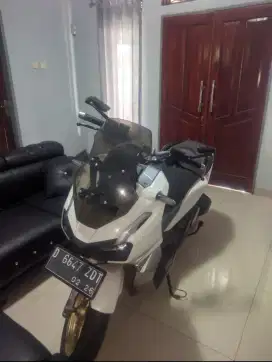 ADV 2021 mangga tawis nego