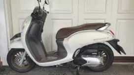 Honda Scoopy Prestige 2024