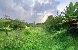 Dijual Cepat Tanah Datar Cocok Untuk Cluster Dekat Stasiun