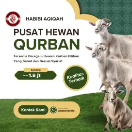 Kambing Qurban dan AQIQAH murah surabaya.
