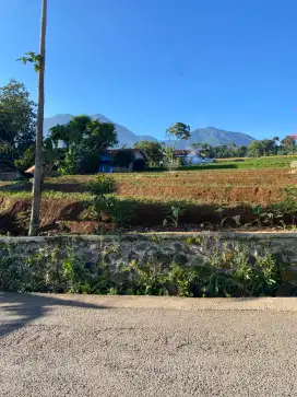 [ BU ] Jual cepat View keren Udara Segar, Tanah Subur cocok Untuk Vila