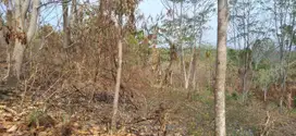 Tanah 6,8 hektar dekat lengkung langit kemiling