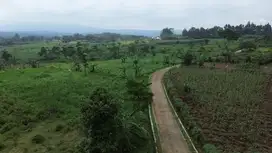 Tanah Peternakan Dan Perkebunan, Dekat Ke Jalan Provinsi