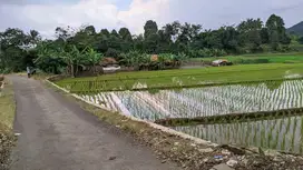 Jual Sawah Produktif | Air Mengalir | Pinggir Jalan Desa.