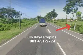 Tanah di Nganjuk Raya Baron