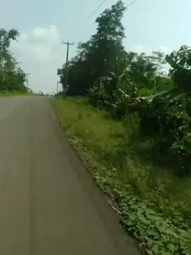 Di Jual Tanah Industri Di Margatirta Cimarga Lebak Banten