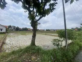 Tanah Sawah peruntukan Gudang Talun Cirebon Girang