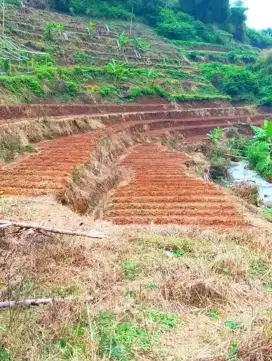 TANAH NEMPEL SUNGAI DI SOREANG BANDASARI