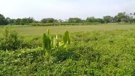 Jual Tanah dibawah NJOP